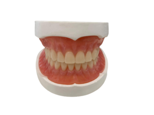 Denture