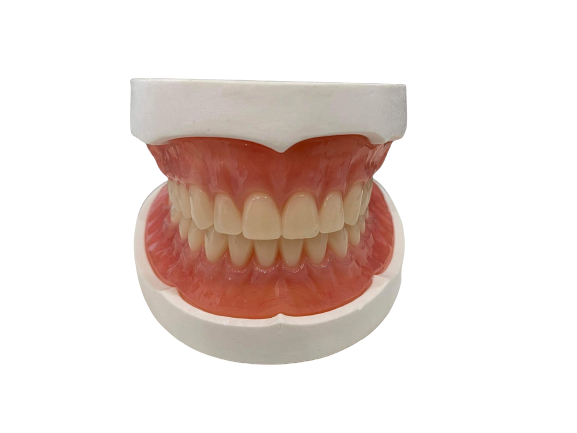 Denture